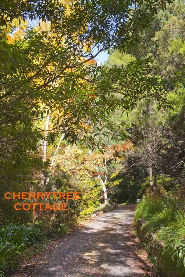 Crafers Cottages Adelaide Zimmer foto